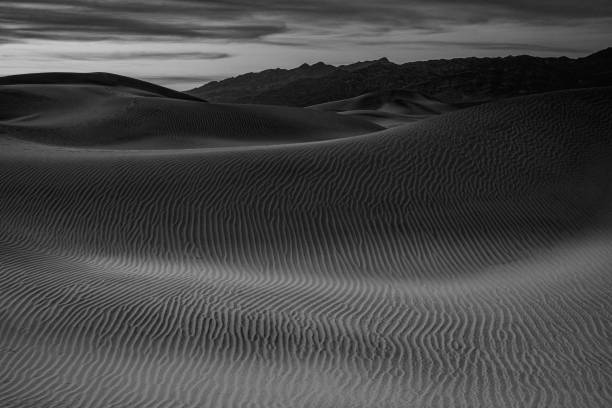 istock Mesquite Sand Dunes Black and White 3 1221116449