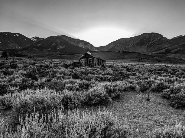 Old Shack in the Desert