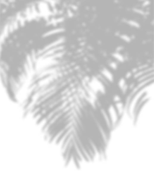istock Abstract shadow of palm leaves on a white background. 1221120721