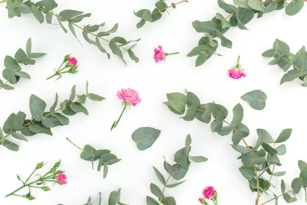 istock Floral pattern with roses flowers and eucalyptus on white background. Flat lay, top view. 1221126552