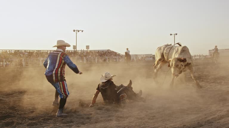 Slow Motion Shot of a Bull Rider Competing in a Bull Riding Event before Being Thrown from the Bull's Back while the Rodeo Clown Distracts the Bull in a Stadium Full of People at Sunset