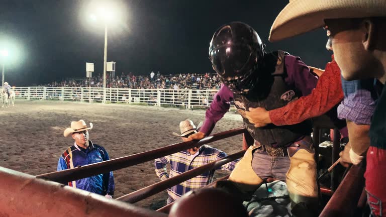 A Bull Rider Wearing a Protective Helmet Prepares to Sit on a Bull in an Animal Pen before Competing in a Bull Riding Event in a Stadium Full of People at Night