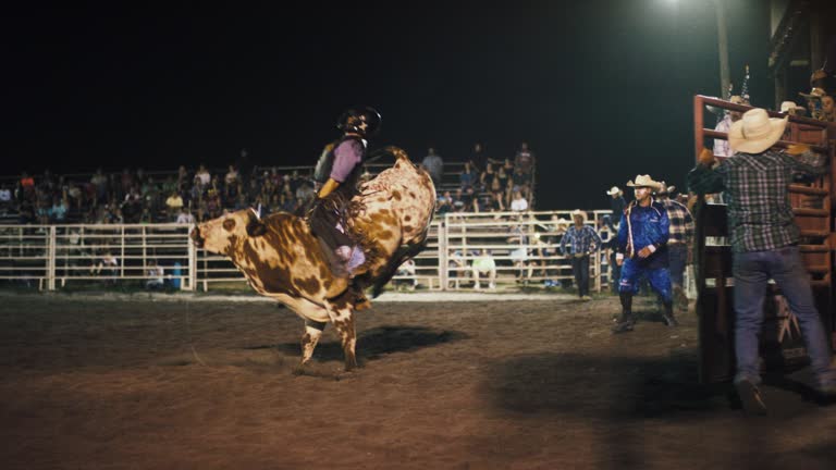 Slow Motion Shot of a Young Male Bull Rider Competing in a Bull Riding Event before Being Thrown from the Bull's Back while the Rodeo Clown Distracts the Bull in a Stadium Full of People at Night