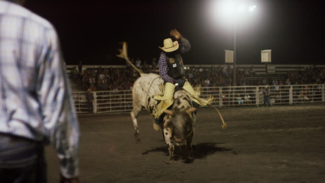 Slow Motion Shot of a Bull Rider Competing in a Bull Riding Event before Being Thrown from the Bull's Back while the Rodeo Clown Distracts the Bull in a Stadium Full of People at Night