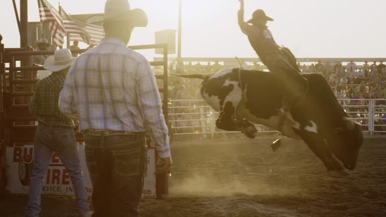 Slow Motion Shot of a Male Bull Rider Competing in a Bull Riding Event in a Stadium Full of People at Sunset