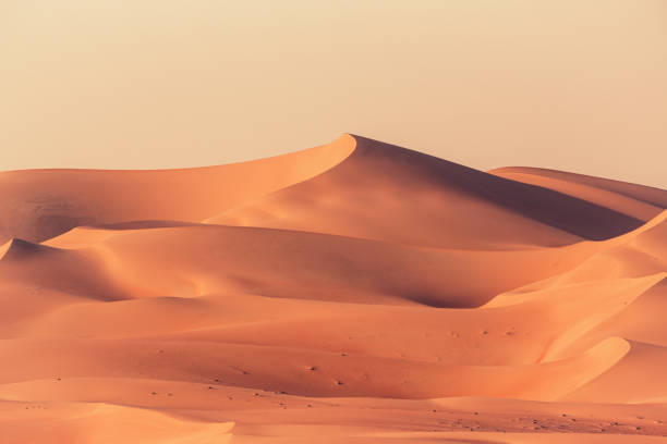 Empty Quarter Desert Dunes Rub' al Khali Landscape Empty Quarter Desert Dunes. A sea of sand in the Rub' al Khali Desert under atmospheric sunset light. Empty Quarter Desert Dunes near the border of Saudi Arabia and the United Arab Emirates. Emirate of Abu Dhabi, United Arab Emirates, Middle East arabian peninsula photos stock pictures, royalty-free photos & images