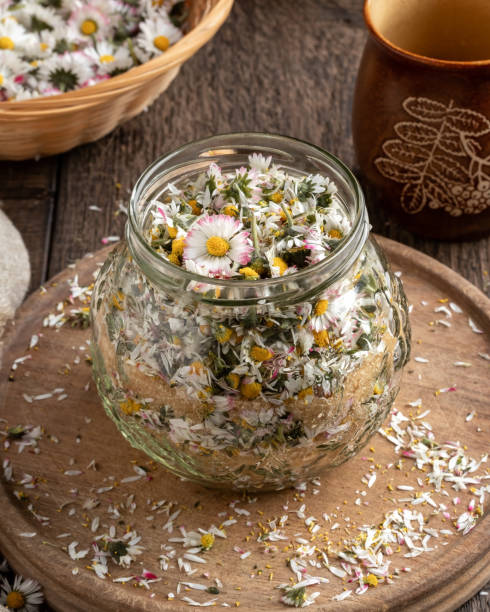 istock Preparation of a herbal syrup against cough from common daisy flowers 1221132949