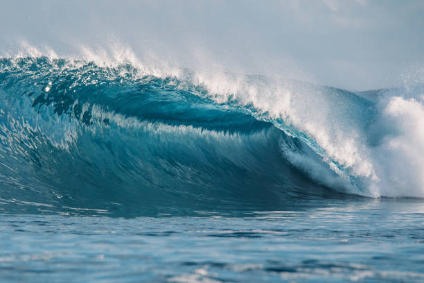 ola de barril perfecta en el océano - ola barril fotografías e imágenes de stock
