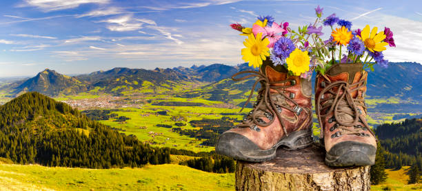 Walking shoes with flowers in a beautiful landscape