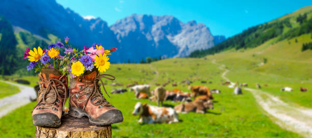 walking shoes with flowers in a beautiful landscape - 2113 imagens e fotografias de stock