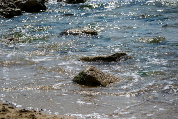 istock Beautiful wild beach landscape, sunny day, water waves hitting the cliffs, nature summertime scene, rocks, background 1221134291