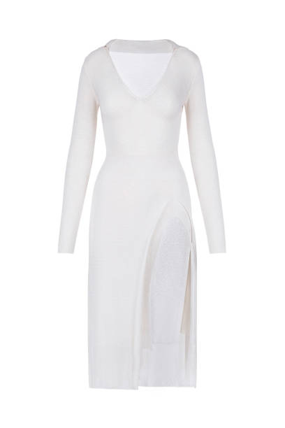 istock Festive dress with sleeves 1221134327