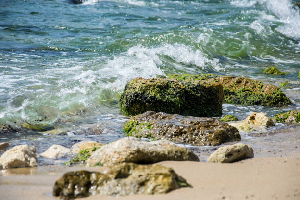 Beautiful beach landscape, nature scene, sunny day, blue water. Resort in Bulgaria