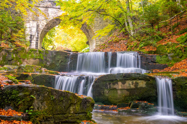 istock Arch of a Stone Bridge in the Forest and River Waterfall 1221134770