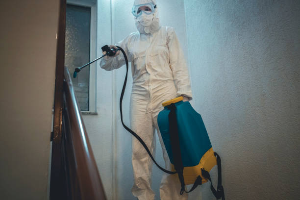istock One woman in protective suit disinfecting residential building space 1221135404