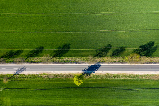 istock An Aerial Road Trip - forest with  road 1221135730