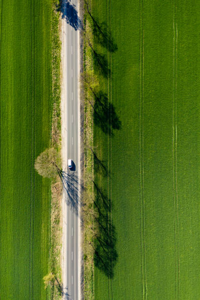 istock An Aerial Road Trip - forest with  road 1221135740