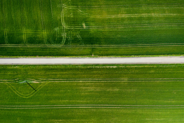 istock An Aerial Road Trip - forest with curved road 1221135851