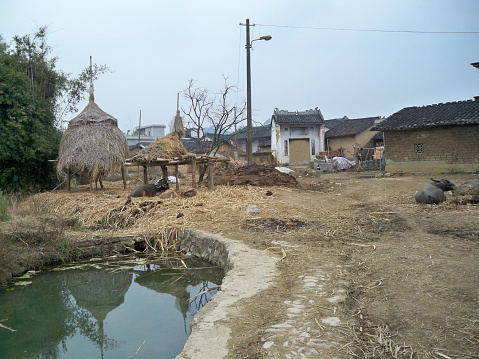 slum in China
