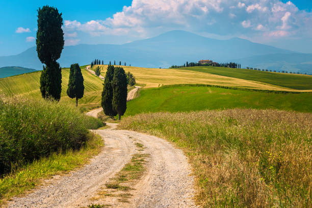 istock Real Tuscany landscape with grain fields and rural road, Italy 1221140323
