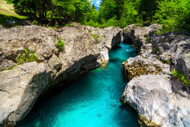 Emerald color Soca river with narrow rocky canyon, Bovec, Slovenia Well known rafting and kayaking place in Europe. Great recreation place and kayaking destination. Wonderful turquoise Soca river and narrow gorge, Bovec, Slovenia, Europe soca valley stock pictures, royalty-free photos & images