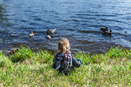 Little girl sitting on grass and looking at lake with floating ducks. Back view