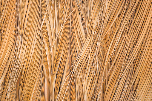 Texture of dried coconut leaves that overlap pile. Abstract background of dried coconut leaves.