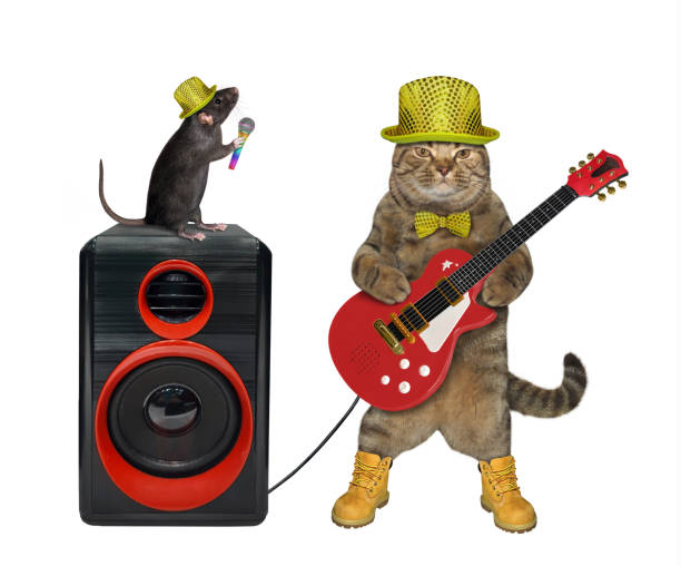 istock Cat musician with red guitar 3 1221149232
