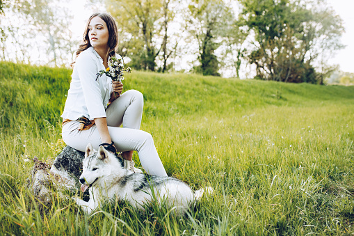 Beautiful girl plays with a dog grey and white husky on the green meadow on sunset