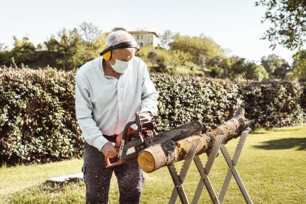 istock lumberjack in italy during the covid 1221150183