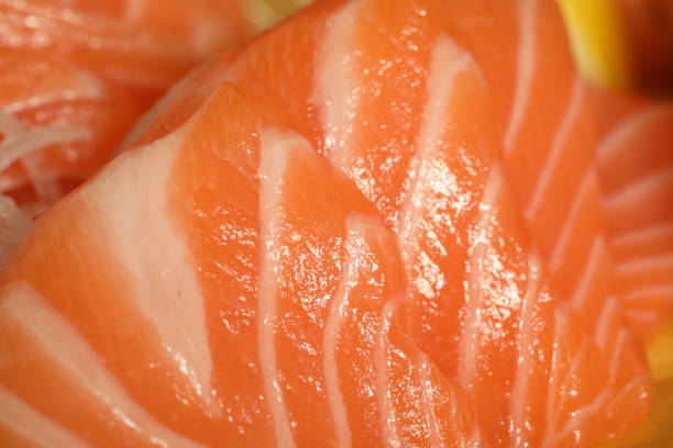 Raw fresh salmon close up delicious food