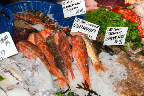 istock Seafood on ice at the fish market 1221162058