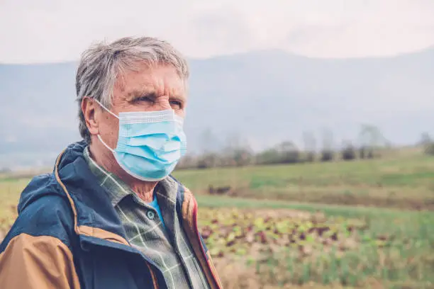 Photo of Portrait of a Senior Man Harvesting Radicchio in the Times of  Coronavirus Crisis