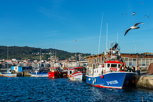 Colorful small fishing boats moored in Portonovo port at dusk, Galicia, Spain.