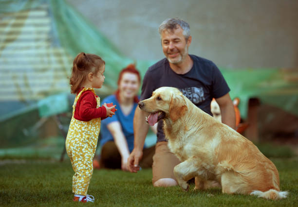 amar a nuestra familia - dog baby t shirt child fotografías e imágenes de stock