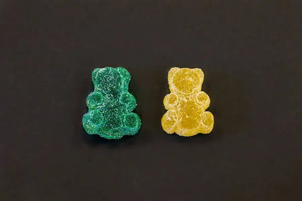 Photo of Two gummy bears in sugar, yellow and blue, on black background.