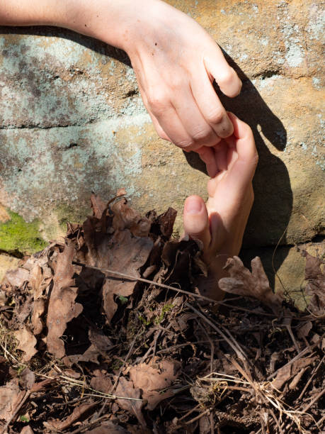 istock Hand sticking out of  rotten fallen leaves at graveyard 1221169028