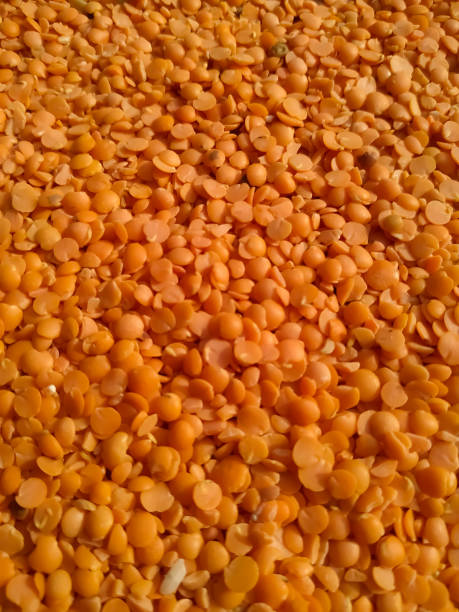 red raw organic lentils texture. food ingredient background. - lentil full frame macro close up imagens e fotografias de stock