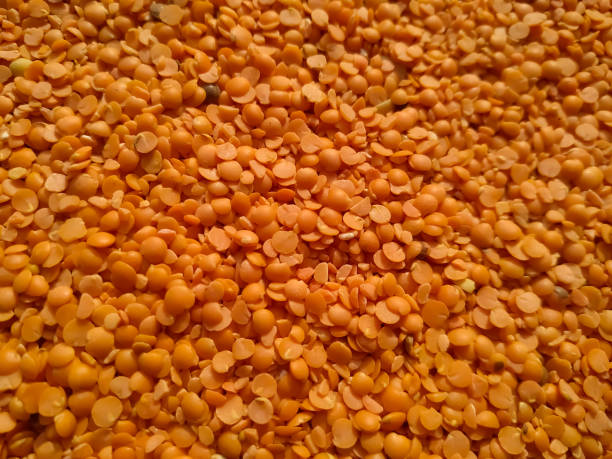 red raw organic lentils texture. food ingredient background. - lentil full frame macro close up imagens e fotografias de stock