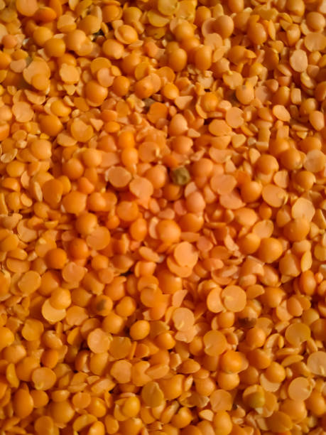 red raw organic lentils texture. food ingredient background. - lentil full frame macro close up imagens e fotografias de stock
