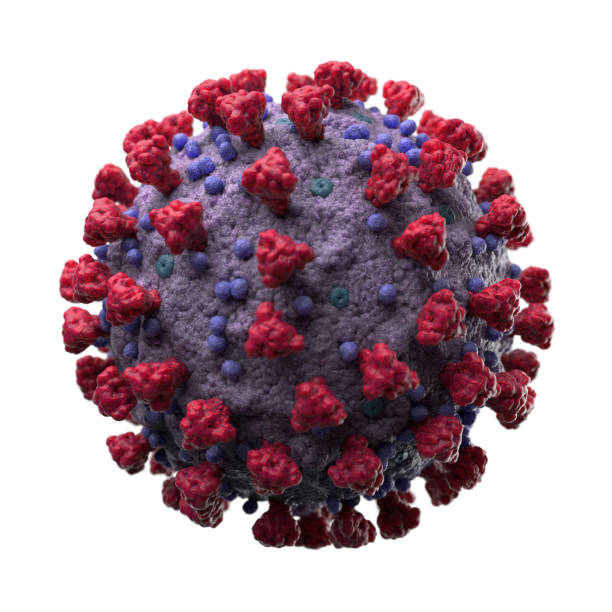 penggambaran molekul novel coronavirus sars-cov-2 yang berwarna-warni dan akurat - sindrom pernapasan akut berat potret stok, foto, & gambar bebas royalti