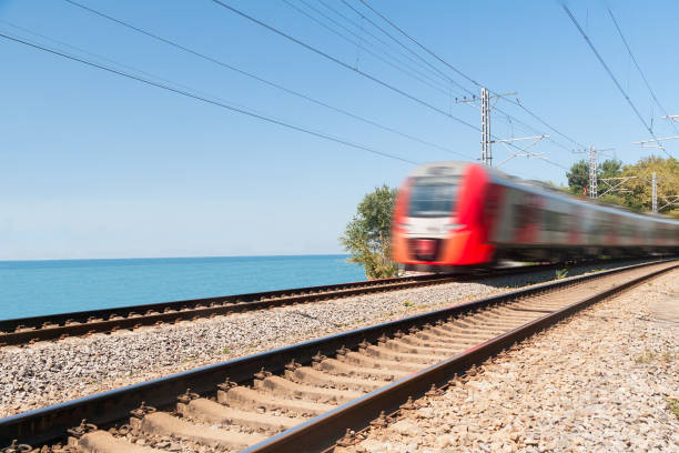 passenger train goes along the seashore in summer day