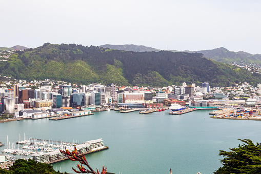 Wellington is the capital of an island nation. North Island, New Zealand