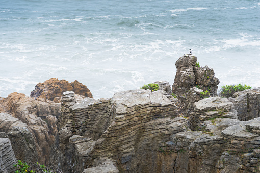 Eroded limestone formations known as Pancake Rocks in Punakaiki, on the west coast of New Zealand's South Island.