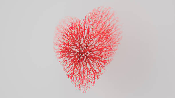 Red heart made out of lines. Red heart made out of lines. 3D rendering. heart shape valentines day fur pink stock pictures, royalty-free photos & images