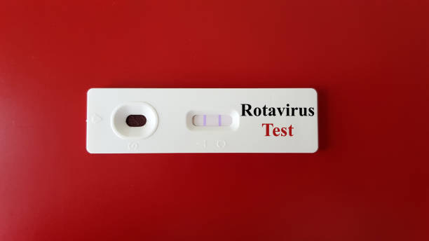 istock Positive Rotavirus test with sample of testing in rapid kit test for screening and diagnosis rota virus infection disease on background. Medical and infectious investigation concept 1221186657