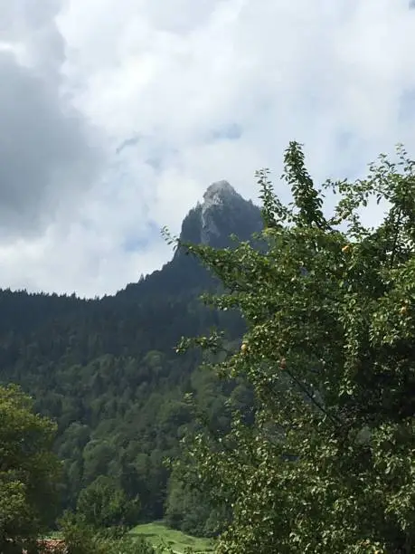 Leonhardstein, mountain, near the village of Kreuth, Tegernsee, Upper Bavaria