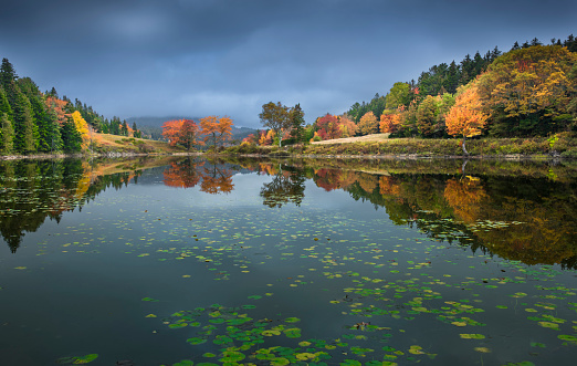 Foggy mountain landscape at dawn. Sunbeams in a valley. Lake and forest in a mountain valley at dawn. Natural panoramic landscape. Reflections on the surface of the lake. Banff National Park, Alberta, Canada.