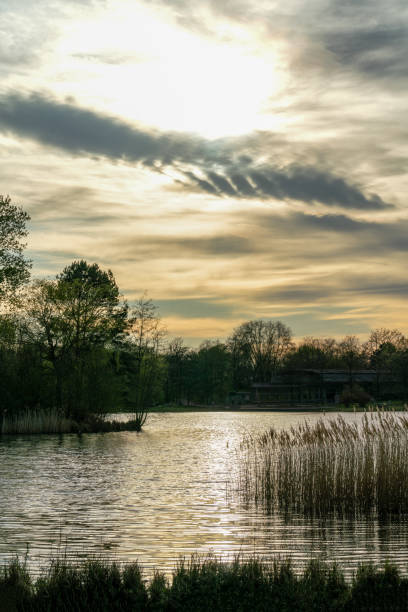 istock Sunset at a tranquil rural lake 1221192364