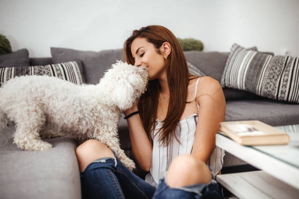 istock My cute little dog 1221192424